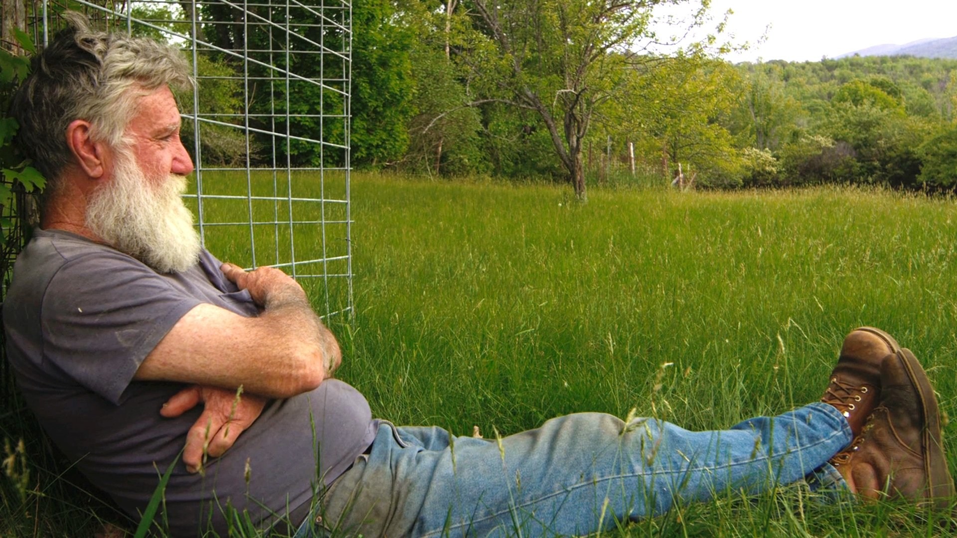 Foto de PETER AND THE FARM