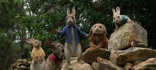 Foto de PETER RABBIT