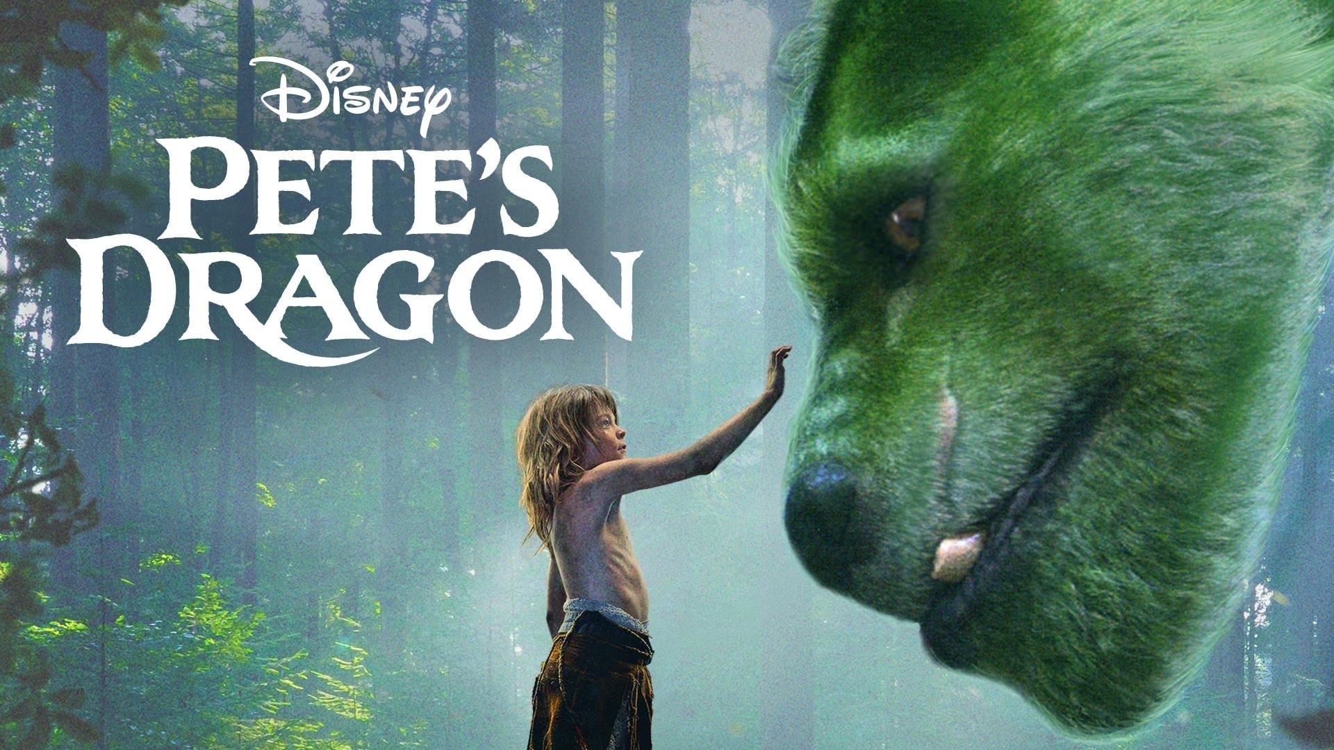 Foto de PETER Y EL DRAGÓN