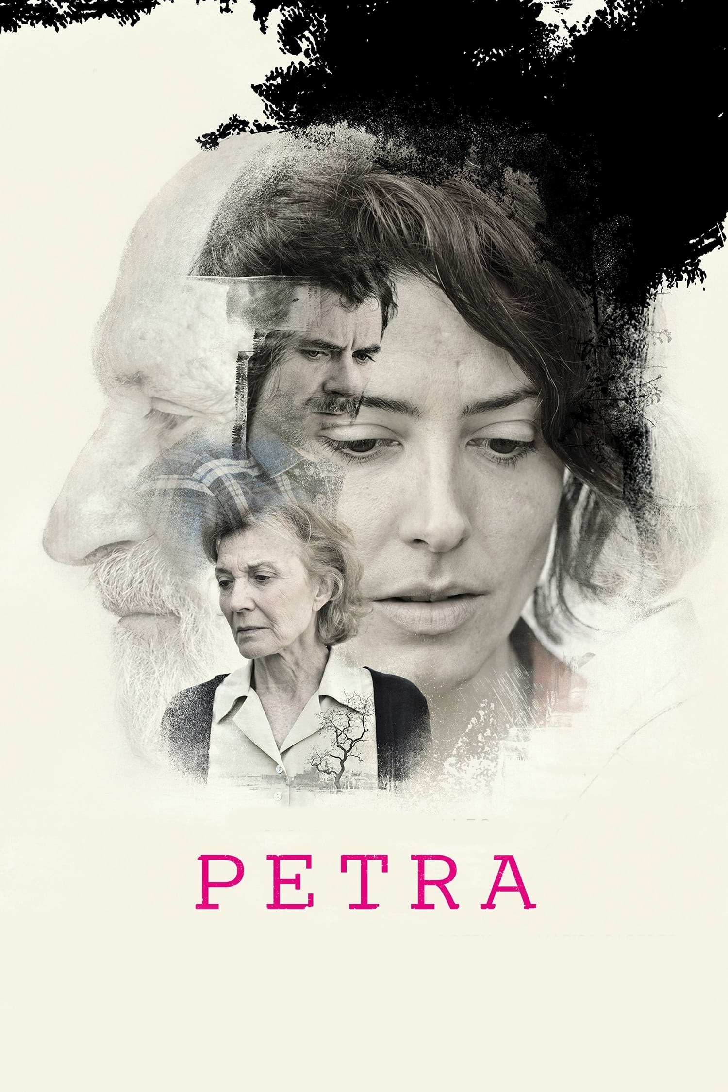 Poster de PETRA en español