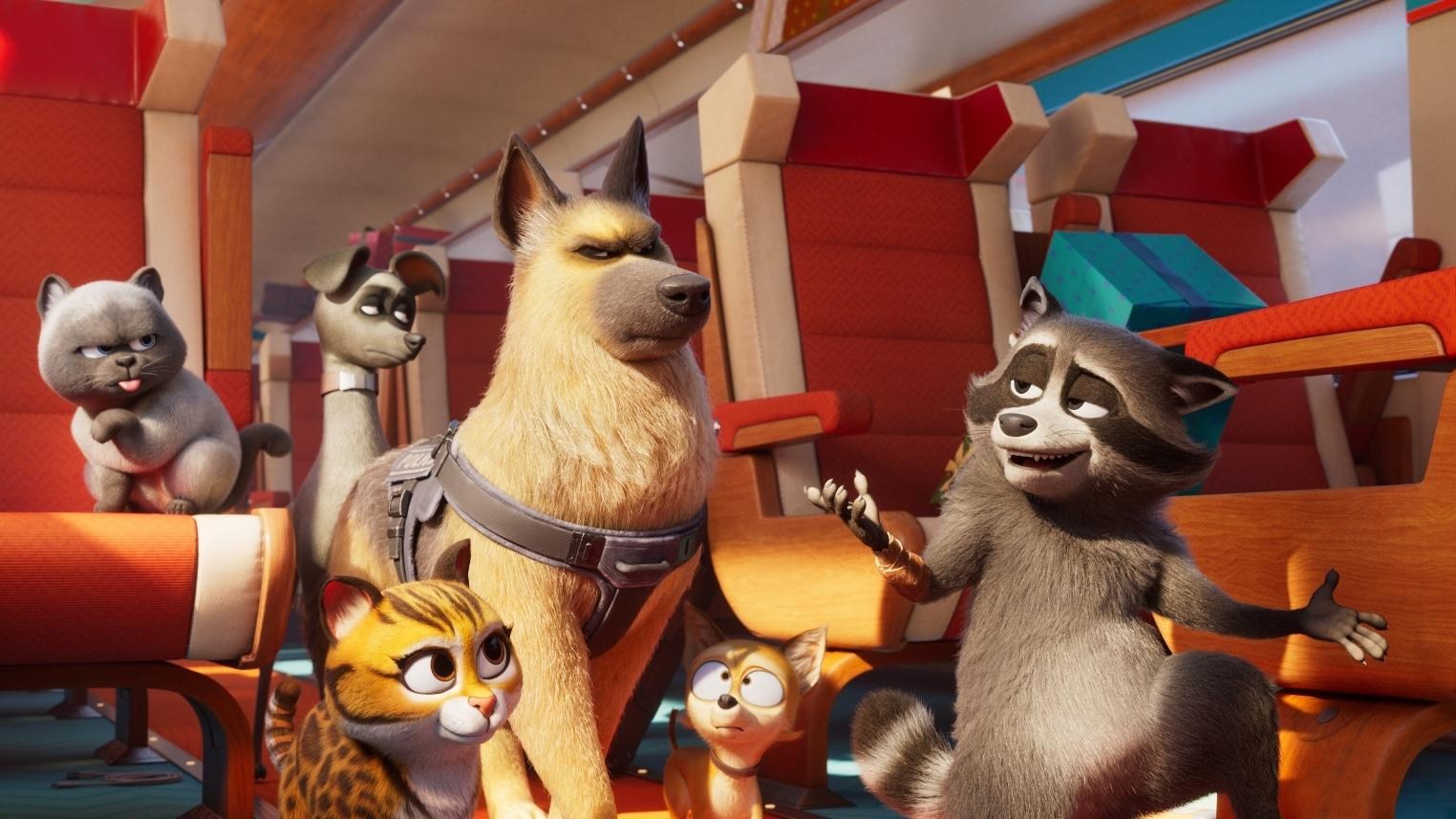 Foto de MASCOTAS AL RESCATE