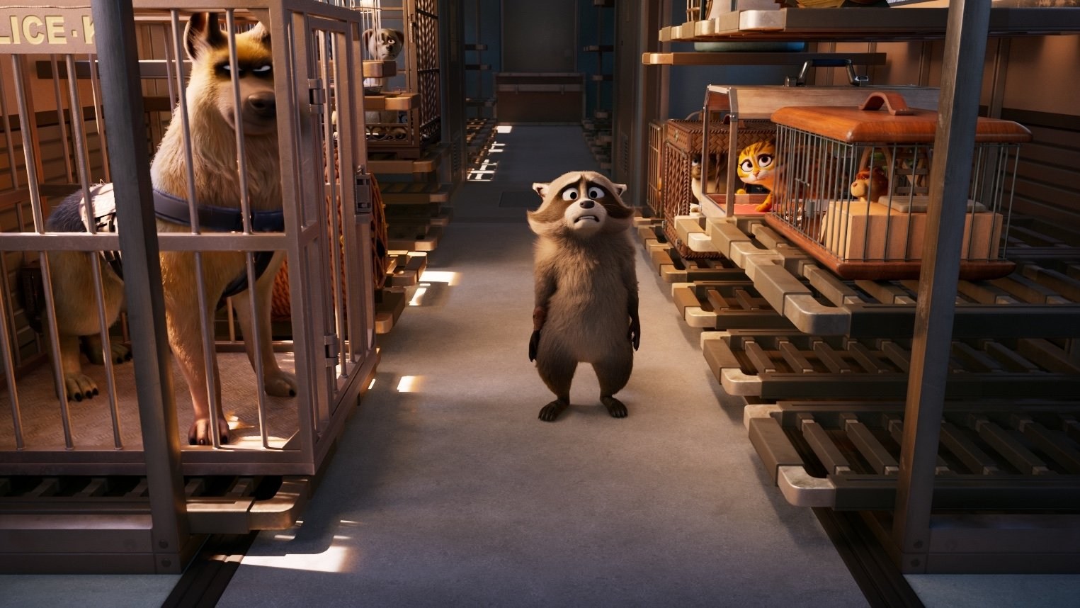 Foto de MASCOTAS AL RESCATE