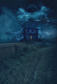 Phantom of the Fields