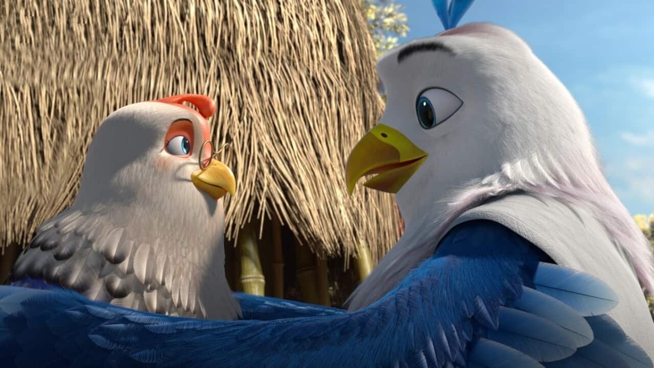 Foto de PICO DE ORO Y SUS AMIGOS