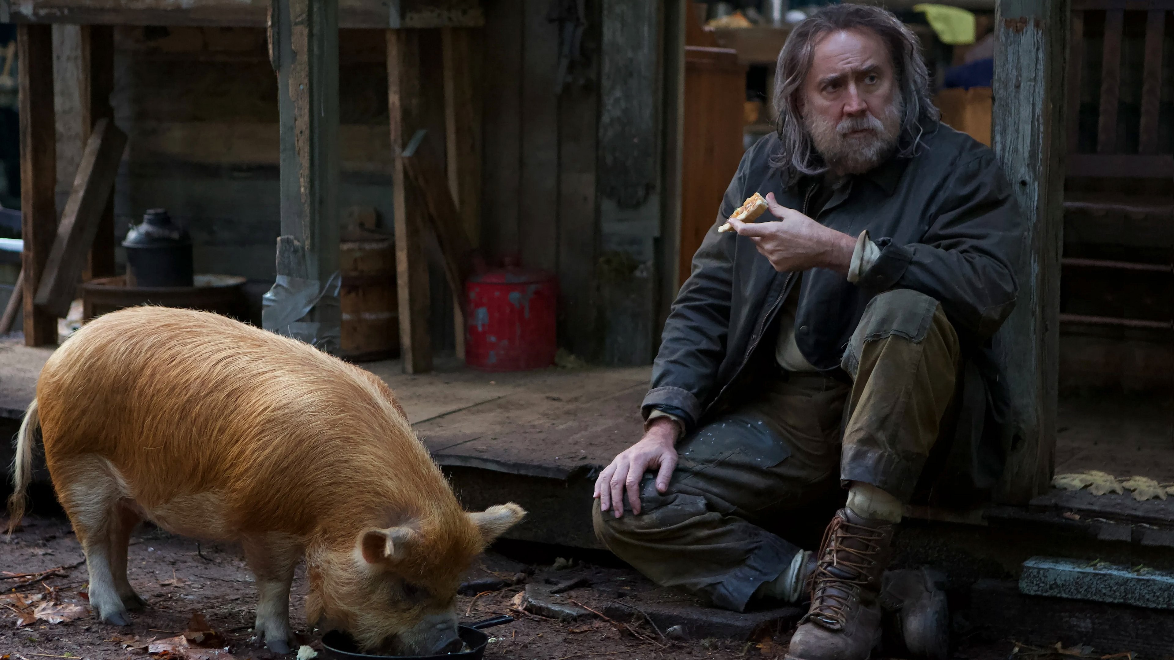 Foto de PIG