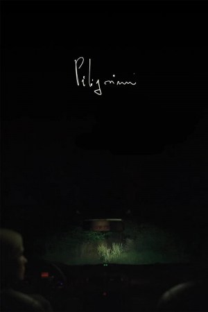Piligrimai