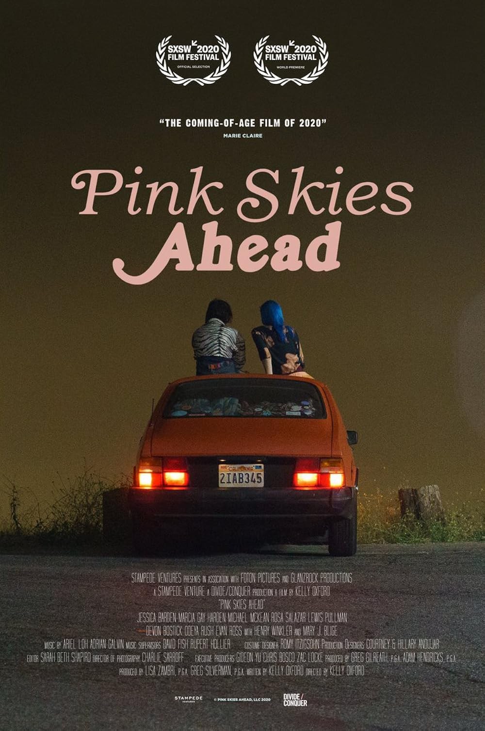 Poster de PINK SKIES AHEAD
