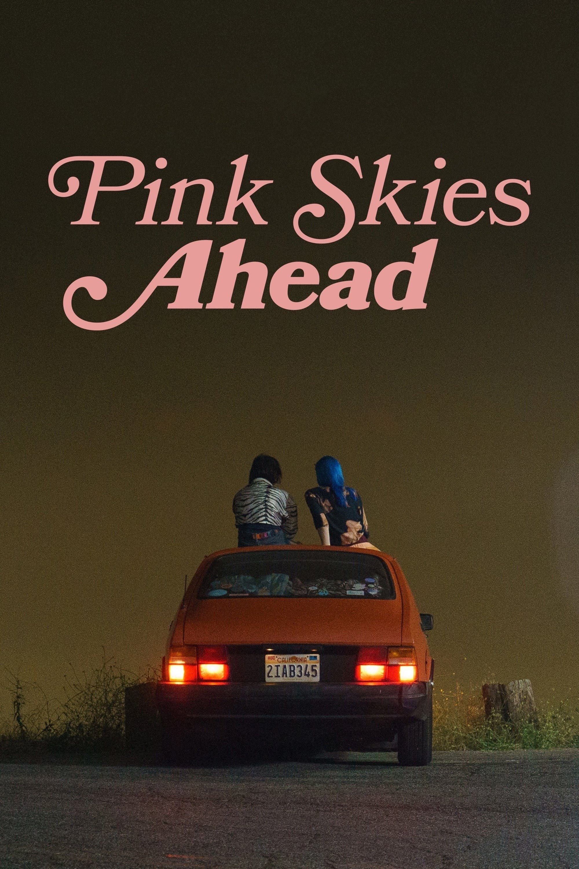 Poster de PINK SKIES AHEAD
