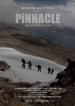 Pinnacle