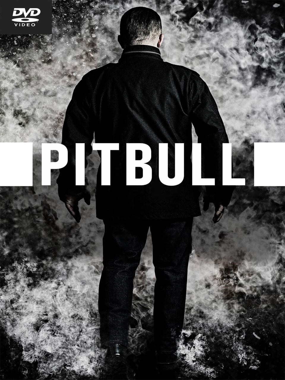 Poster de PITBULL en español