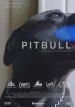 Pitbull