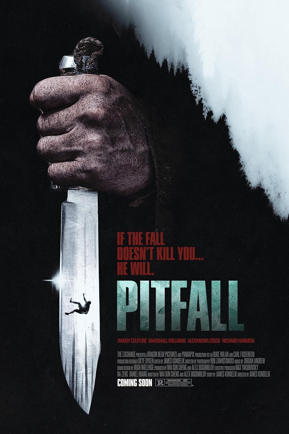 Poster de PITFALL