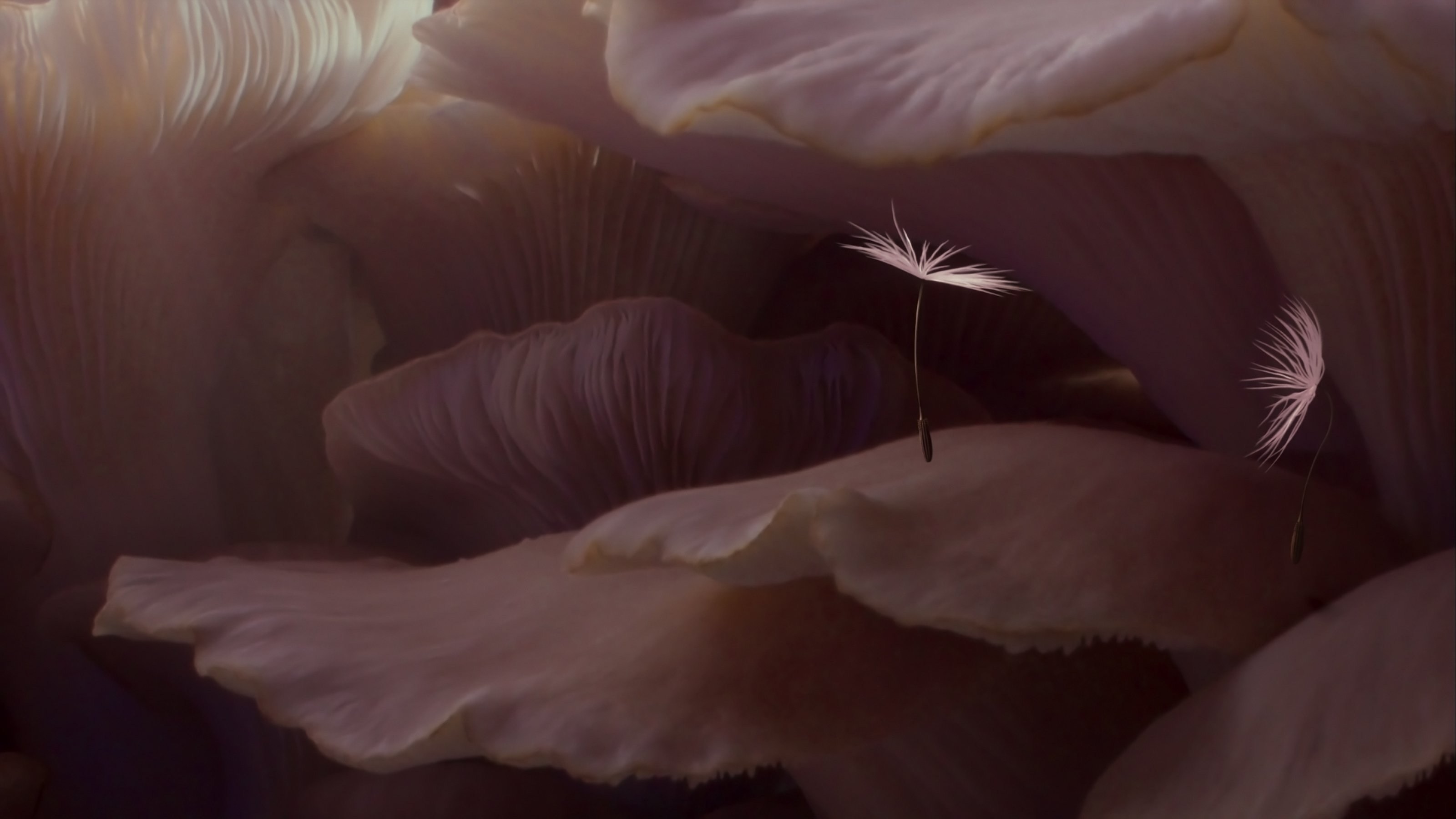 Foto de PLANÈTES