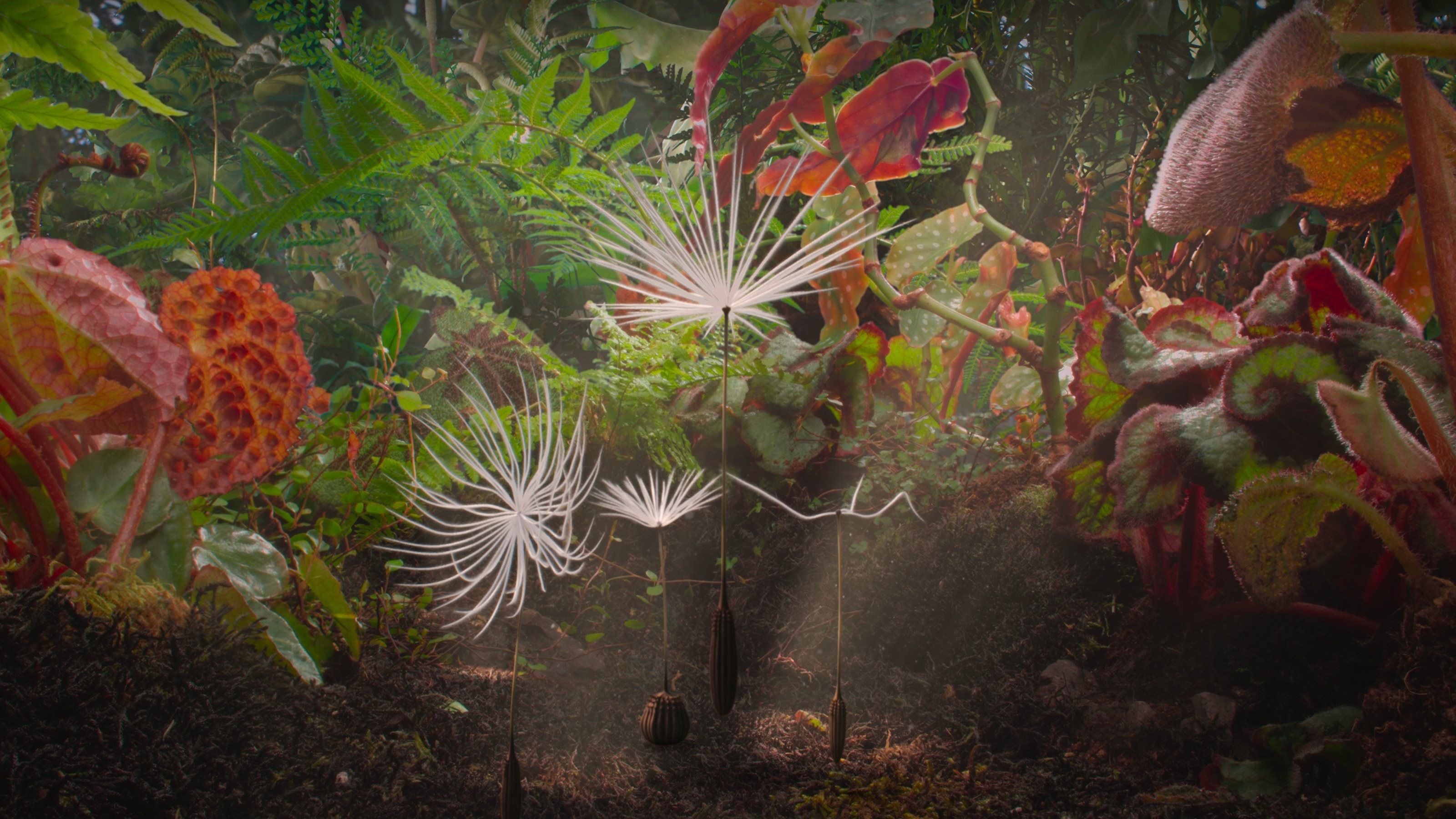 Foto de PLANÈTES