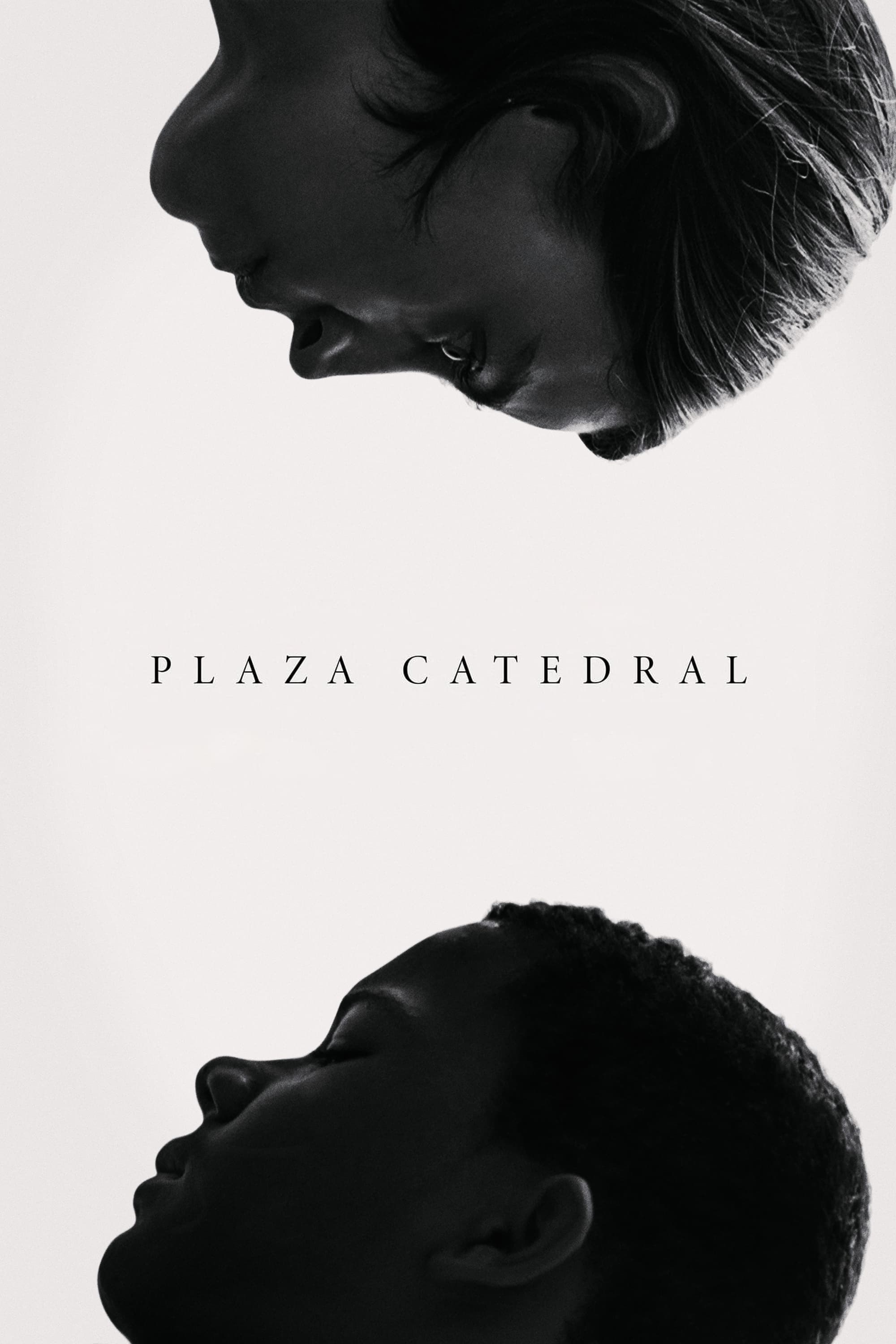 Poster de PLAZA CATEDRAL en español