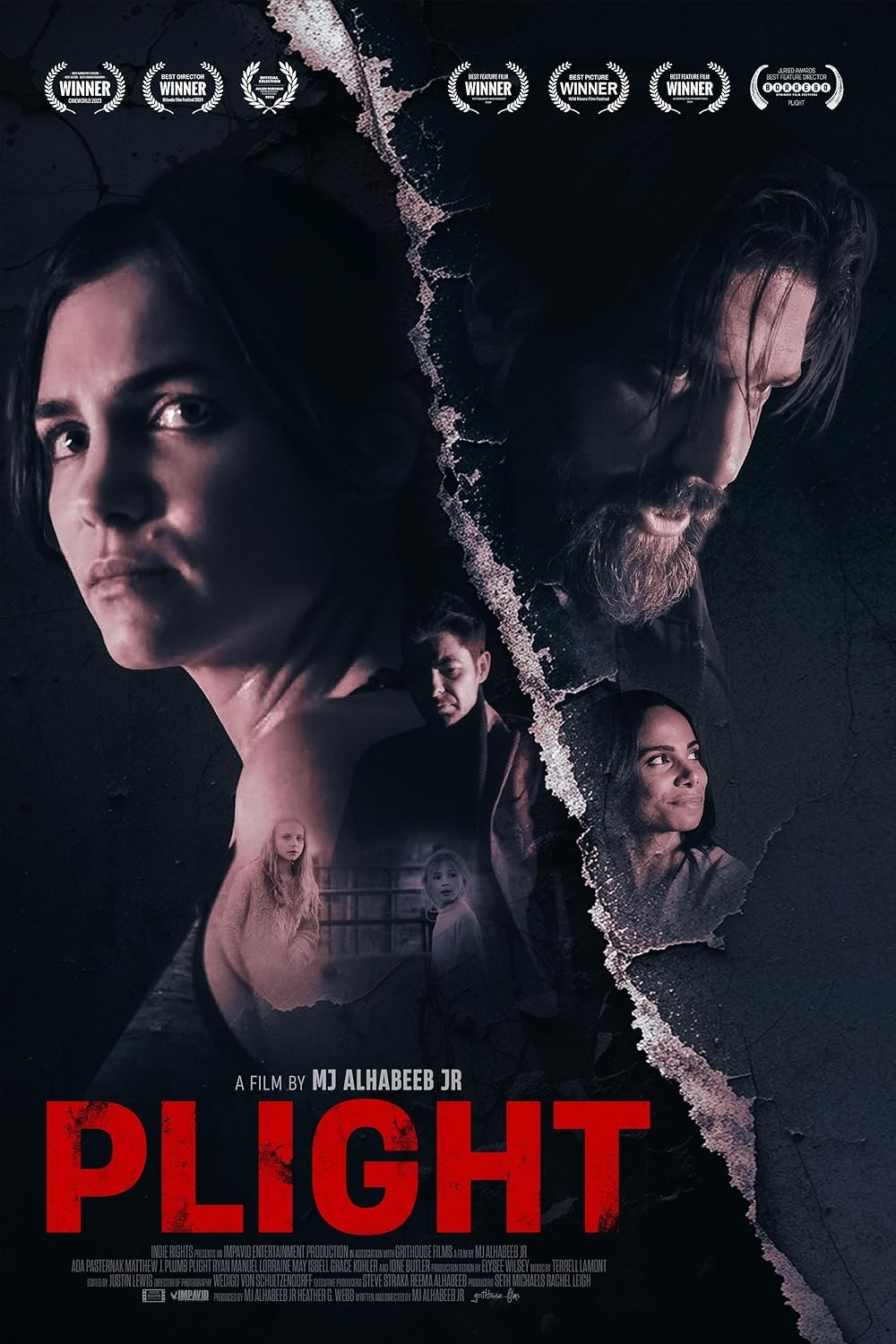 Poster de PLIGHT