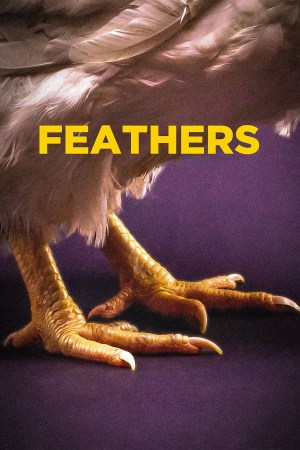 Plumas