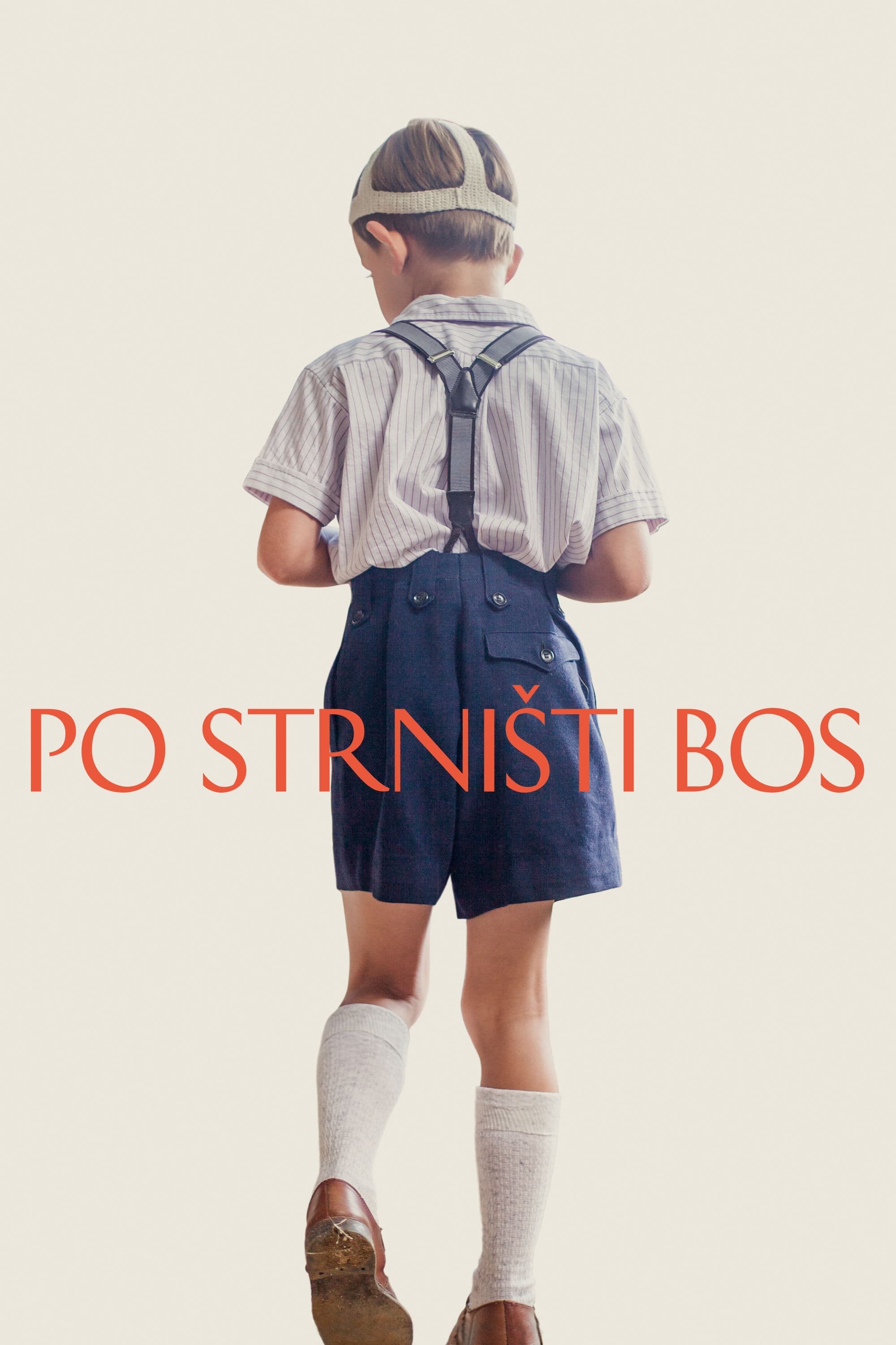 Poster de PO STRNISTI BOS