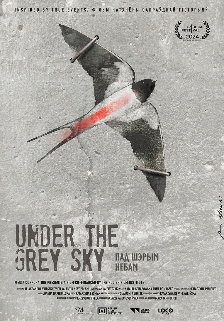 Poster de POD SZARYM NIEBEM