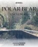 Polar Bear Enclosure