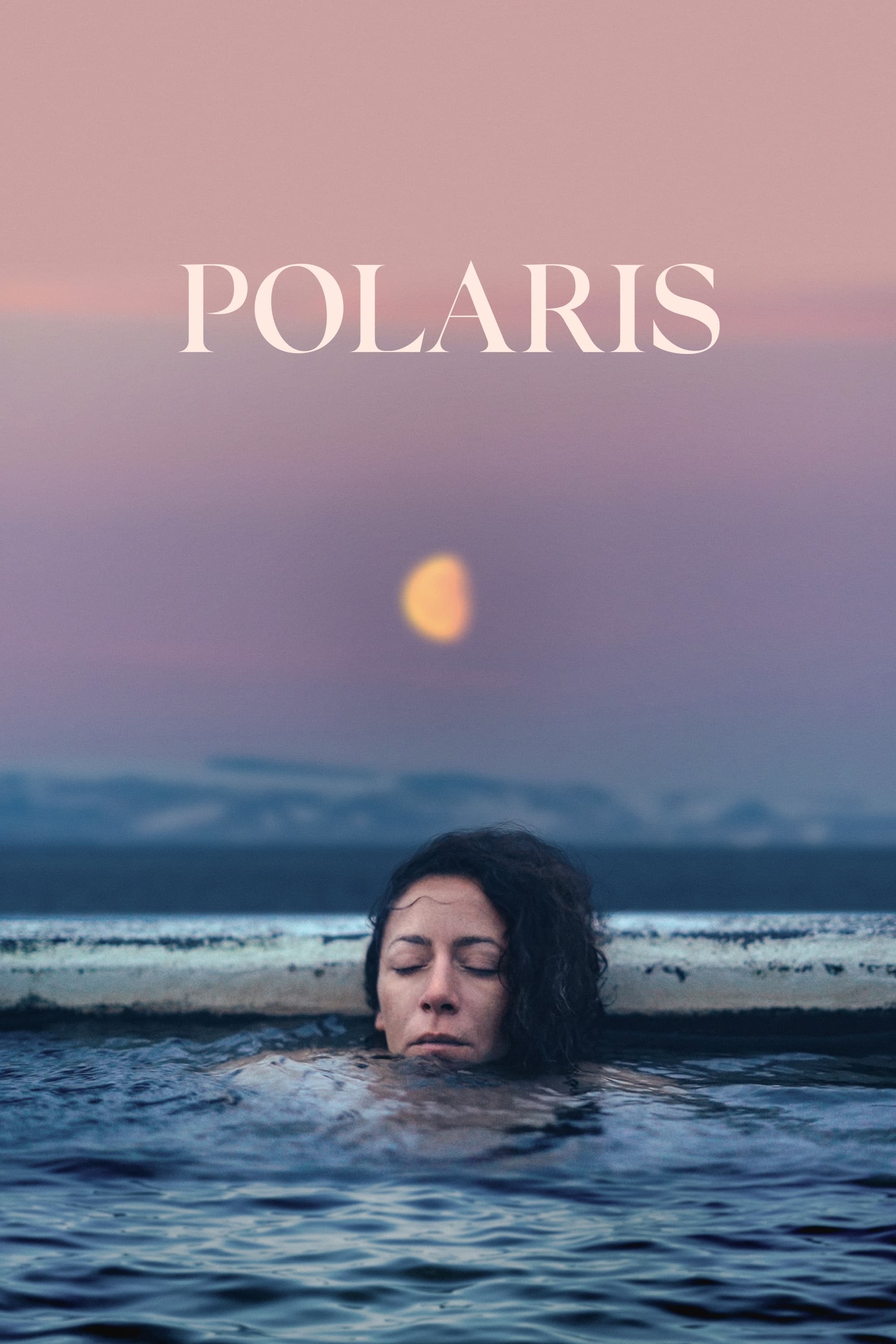 Poster de POLARIS en inglés