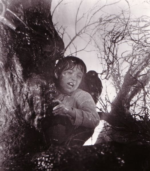 Poster de POLTERGEIST (FENÓMENOS EXTRAÑOS)