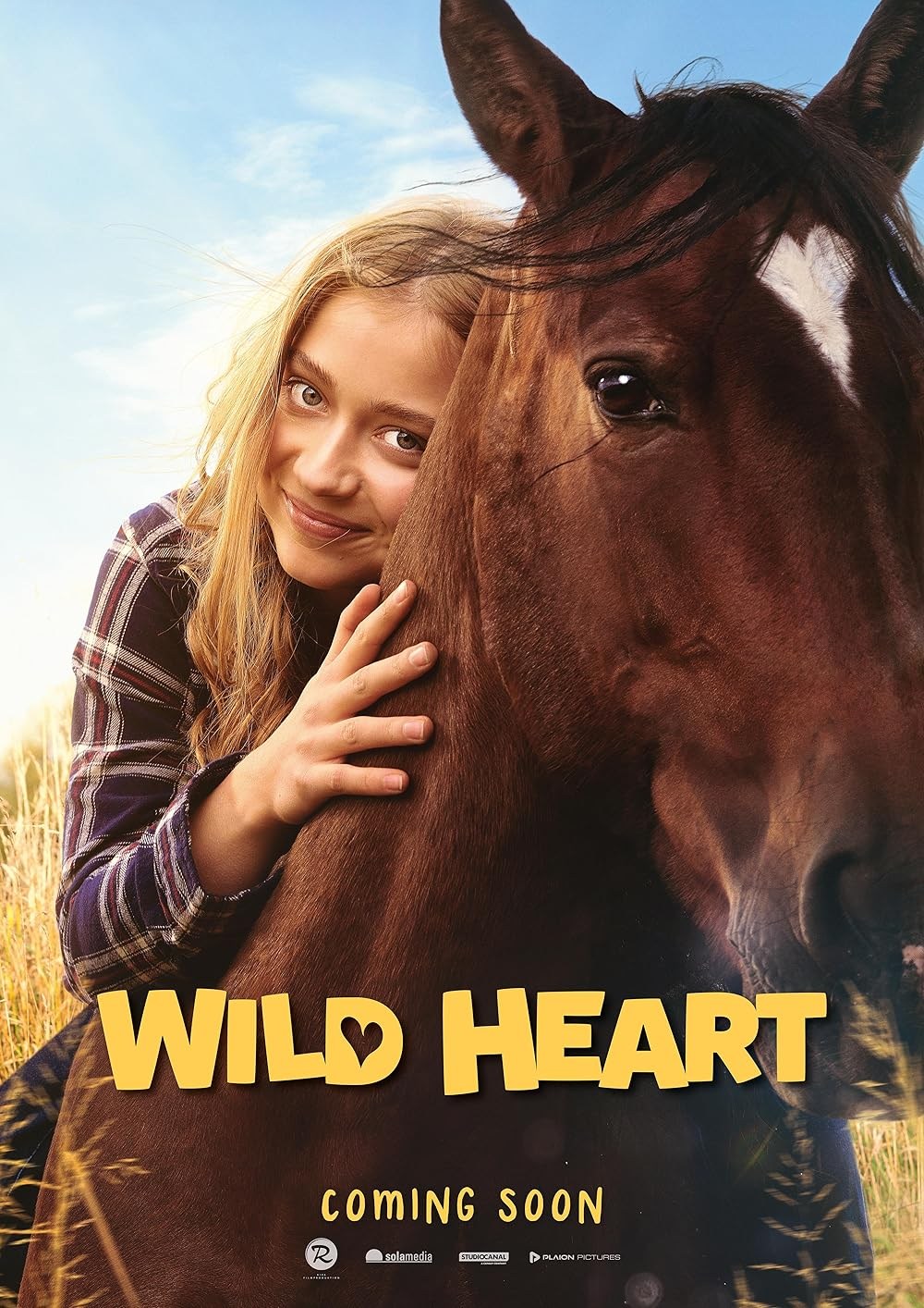 Poster de PONYHERZ