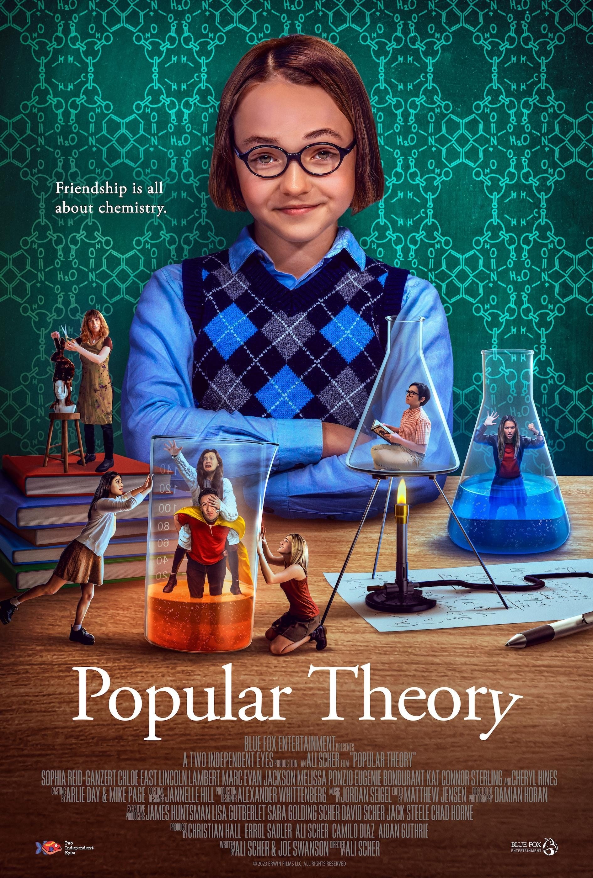 Poster de POPULAR THEORY