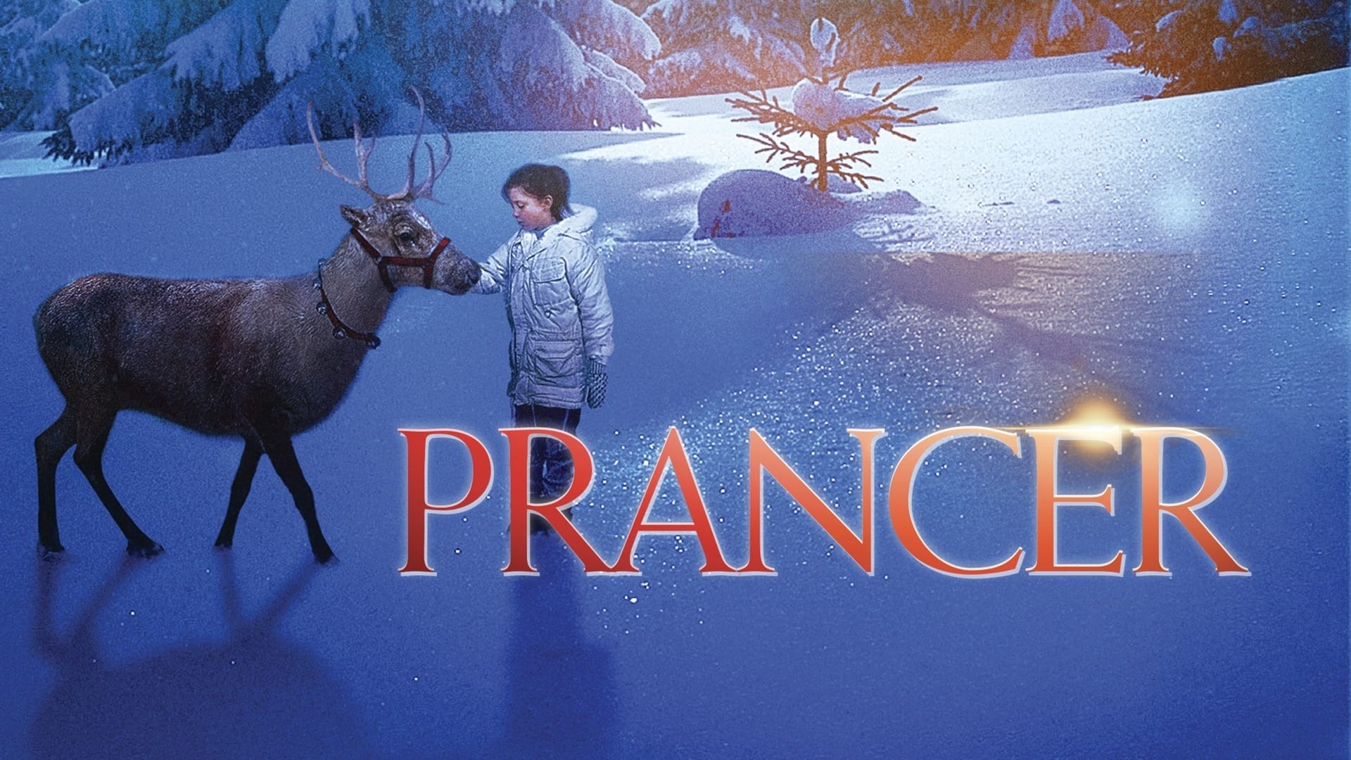 Foto de PRANCER