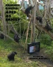 Primate Cinema: Apes as Family