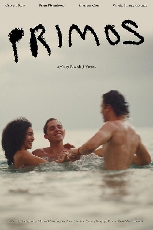 Poster de PRIMOS en inglés