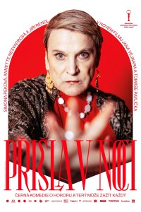 Prisla v noci