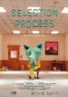 Proceso de selección