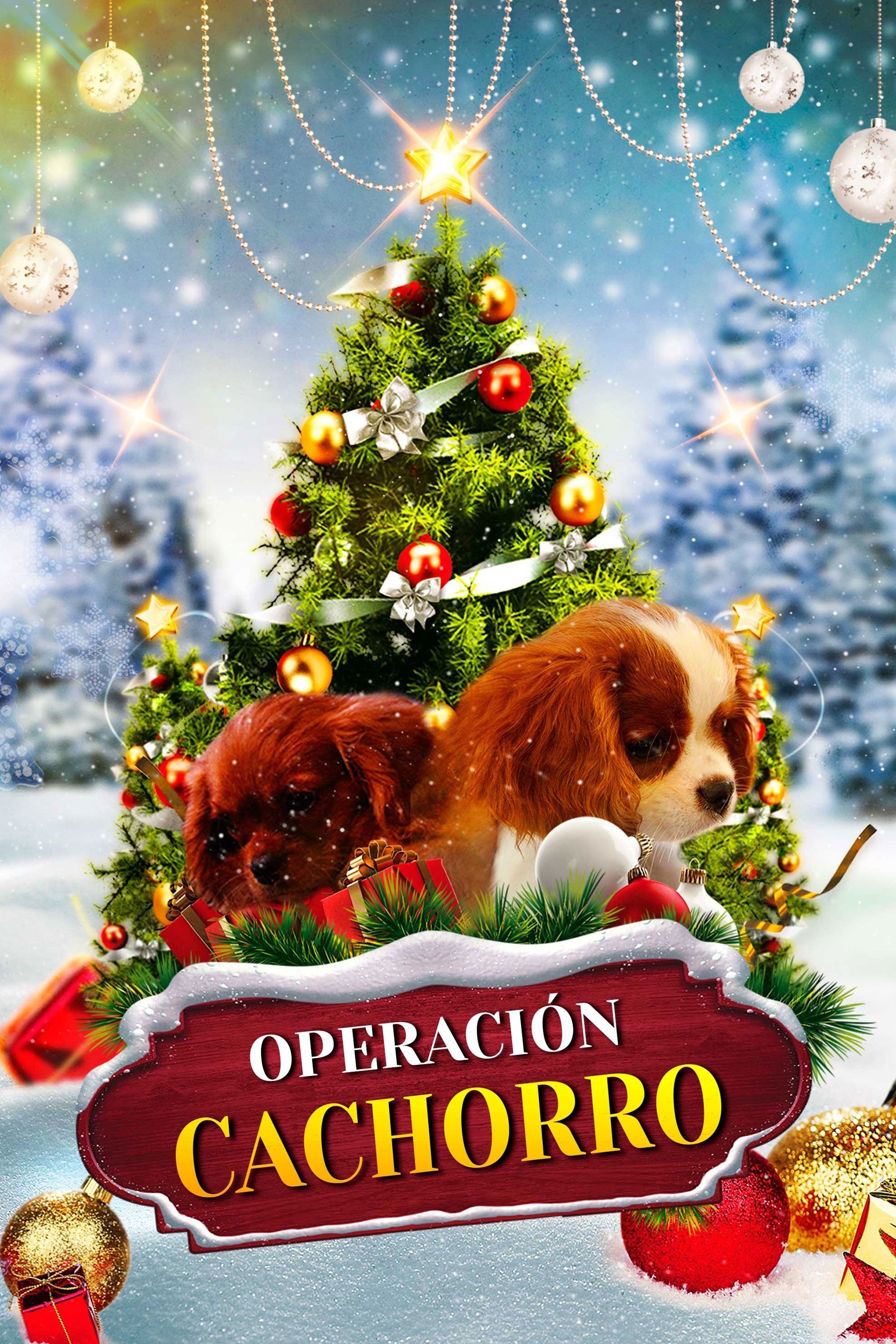 Poster de PROJECT: PUPPIES FOR CHRISTMAS en español