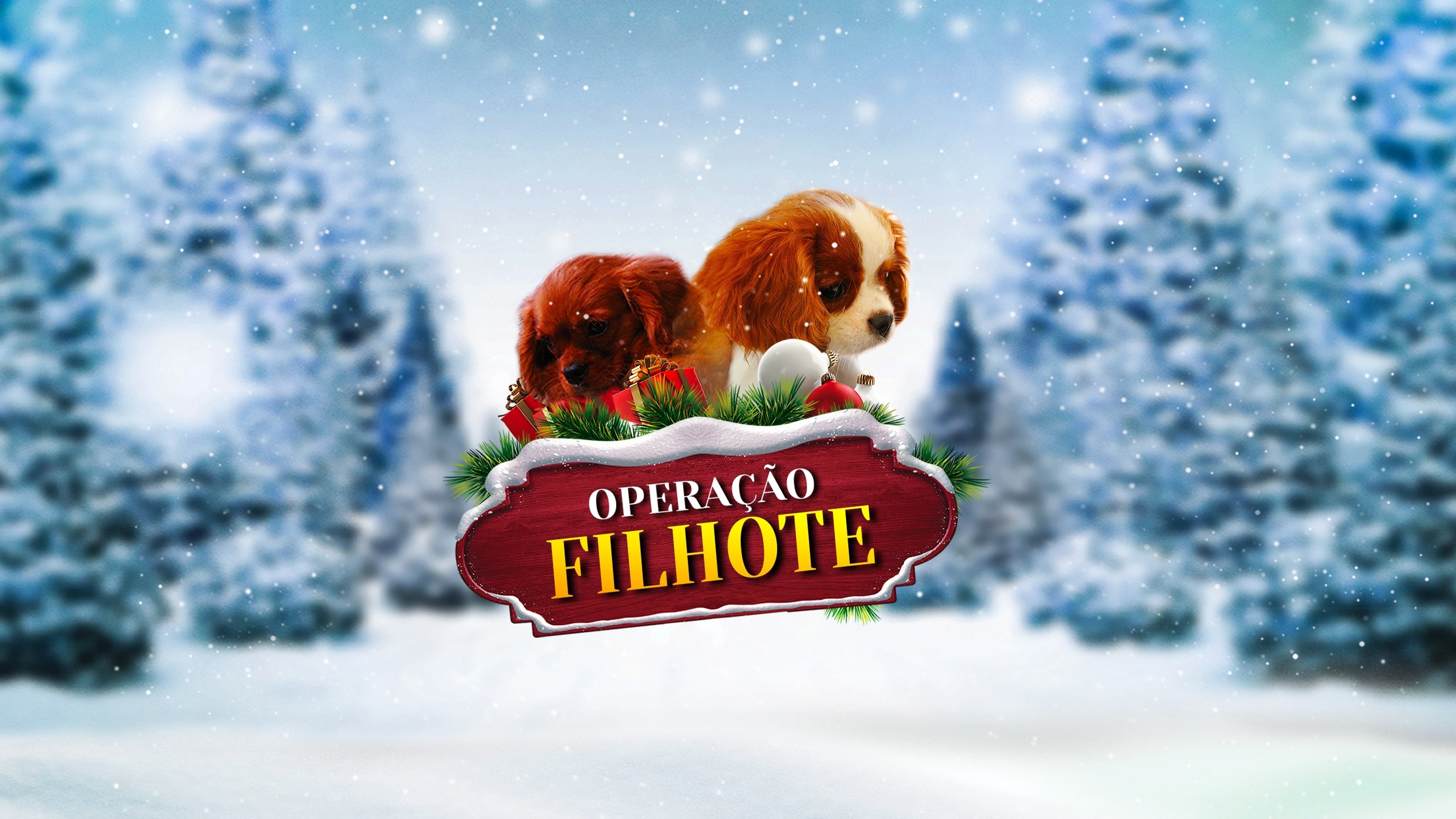 Foto de PROJECT: PUPPIES FOR CHRISTMAS