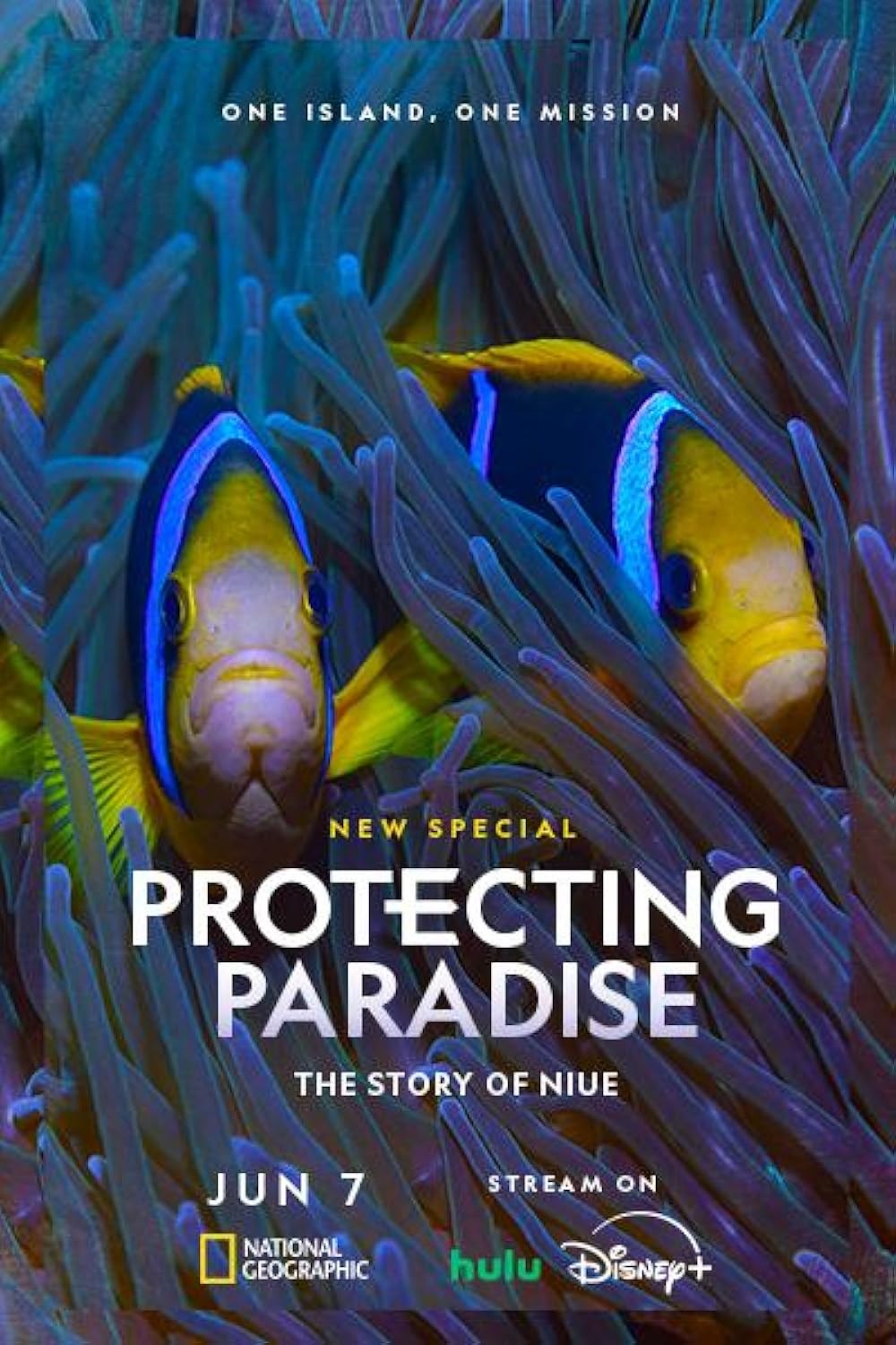 Poster de PROTECTING PARADISE: THE STORY OF NIUE