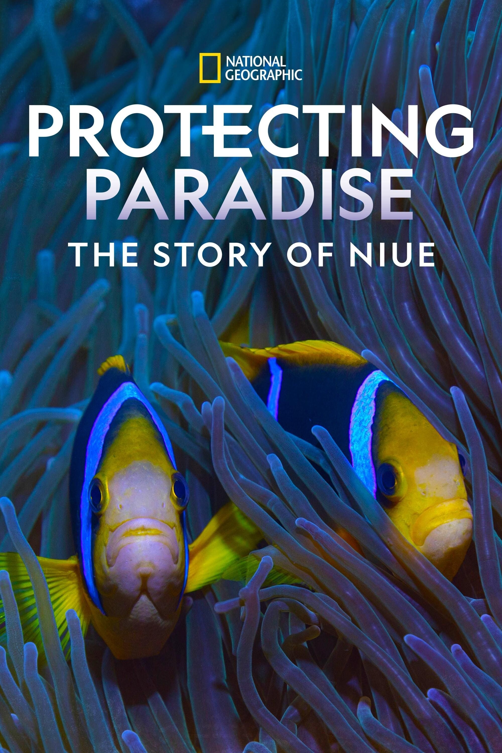 Poster de PROTECTING PARADISE: THE STORY OF NIUE en inglés