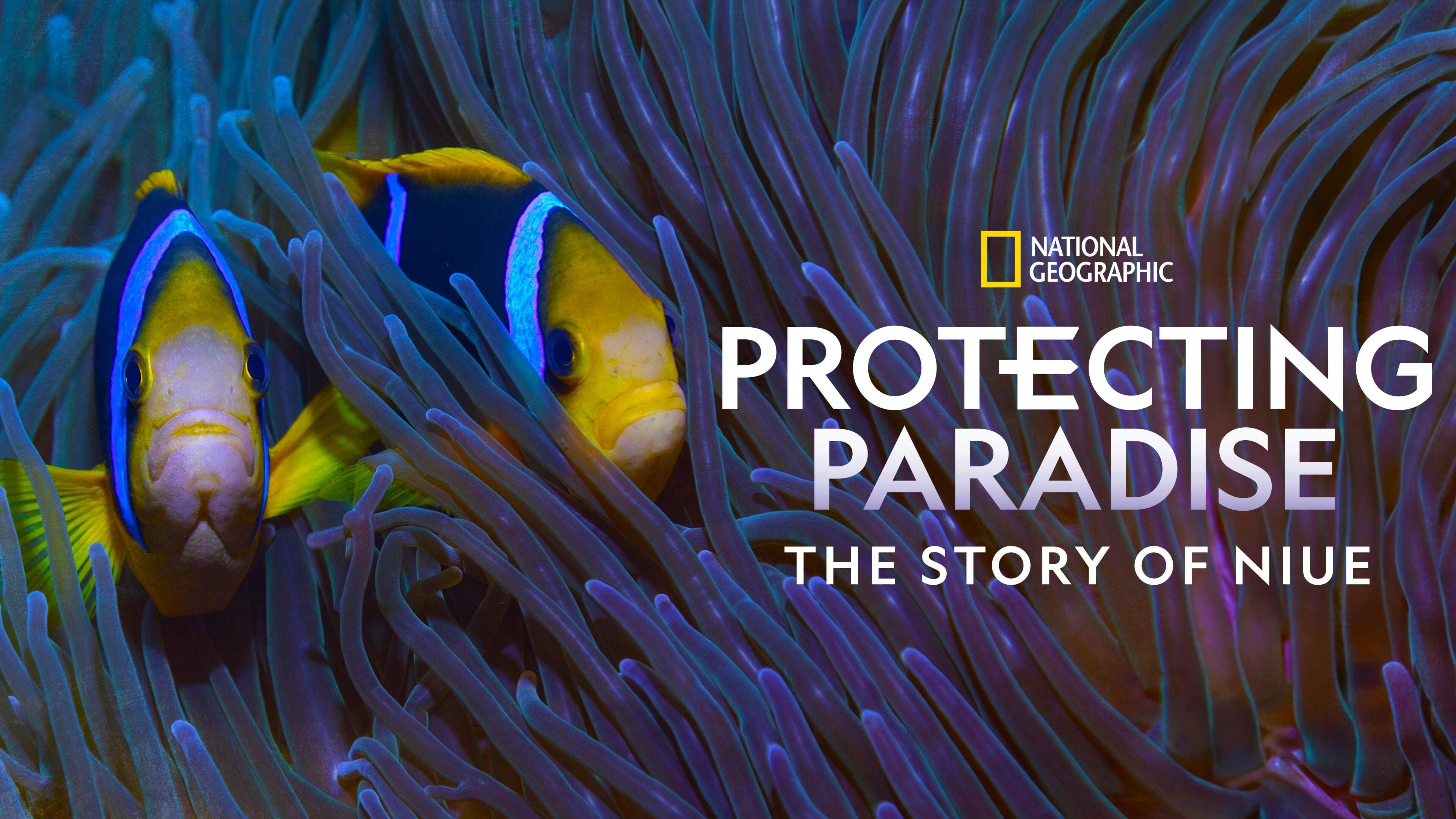 Foto de PROTECTING PARADISE: THE STORY OF NIUE