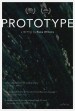 Prototype