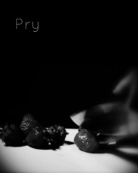 Pry
