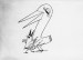 Strange Birds