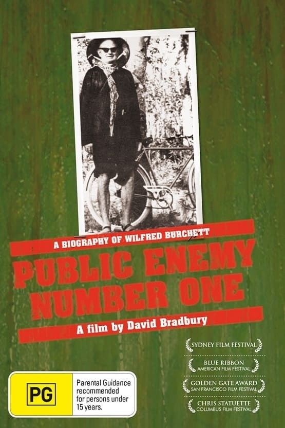 Poster de PUBLIC ENEMY NUMBER ONE