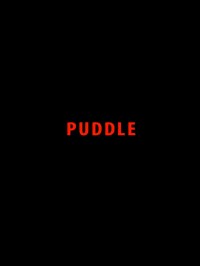 Puddle
