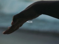 Pulse