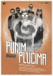Punim plucima