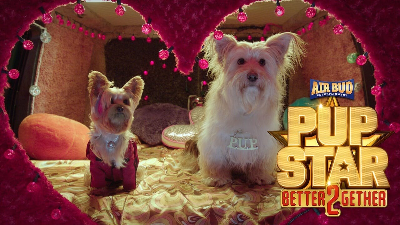 Foto de PUP STAR: BETTER 2GETHER