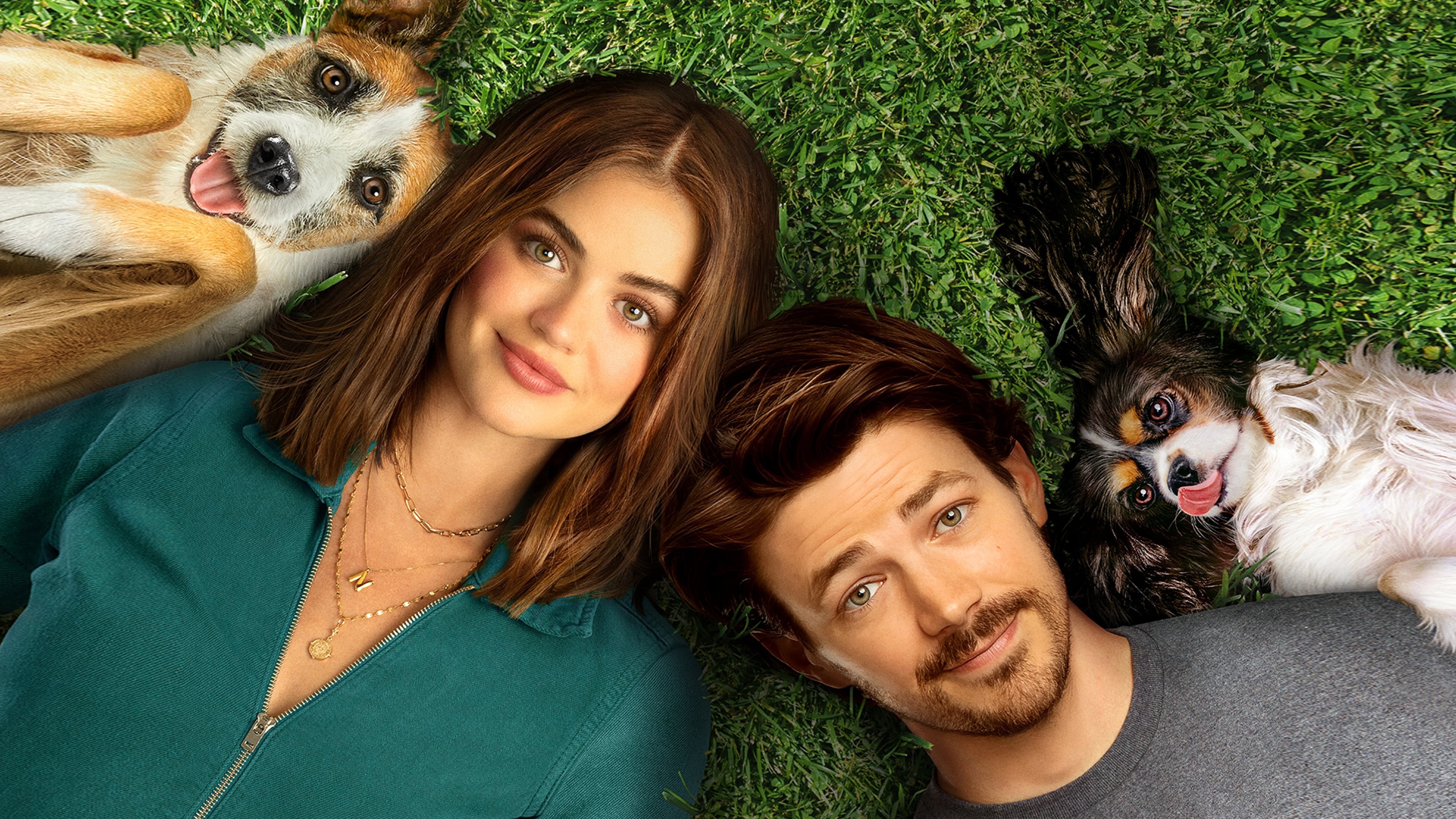Foto de AMOR PERRUNO
