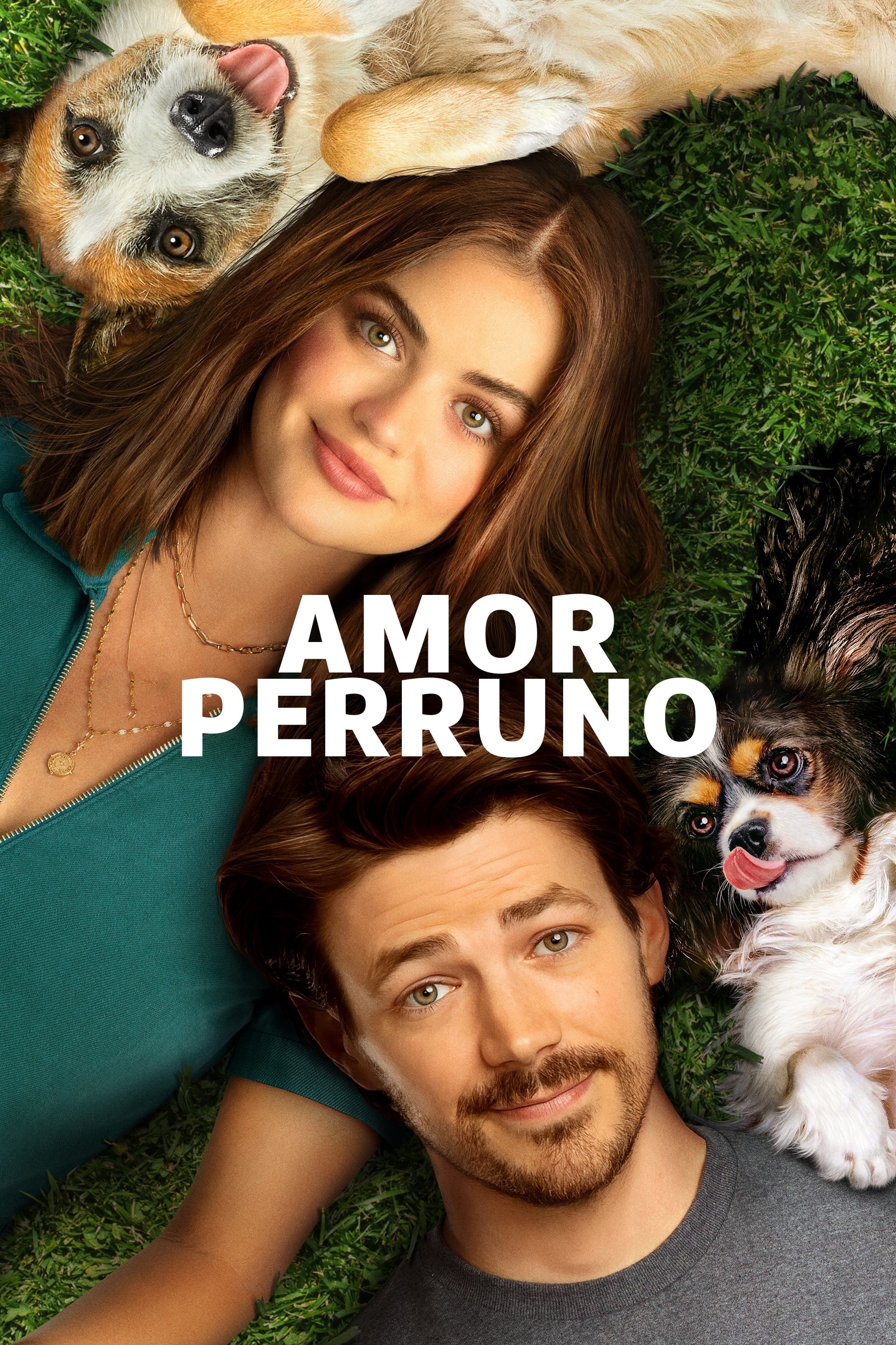 Poster de AMOR PERRUNO en español