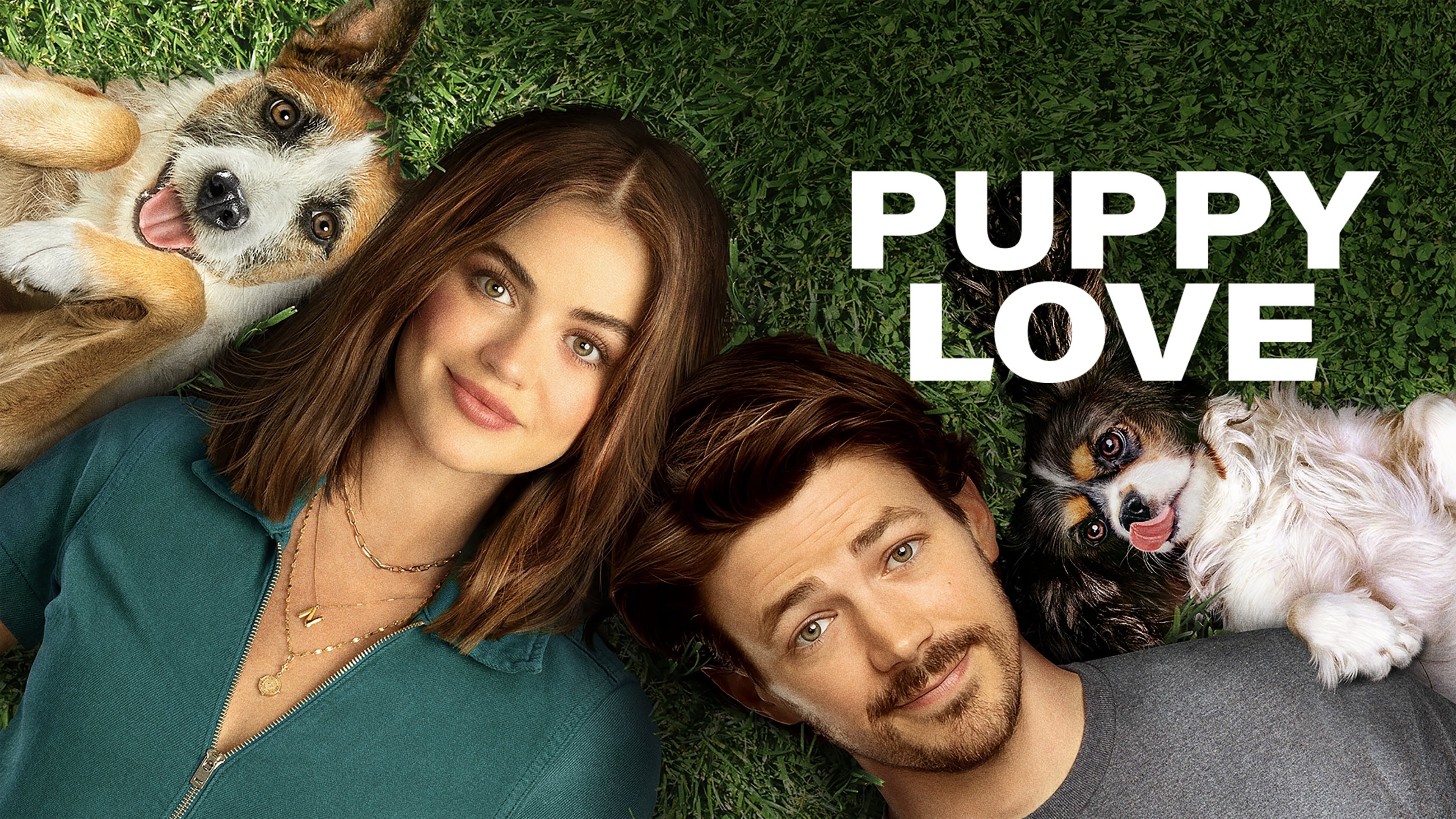 Foto de AMOR PERRUNO