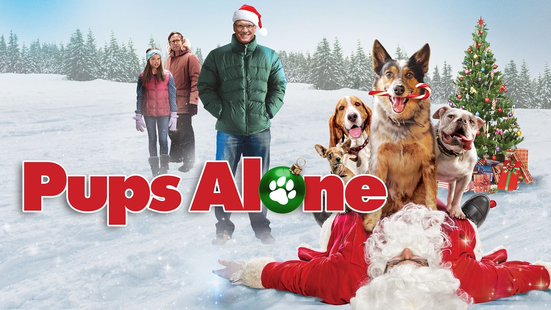 Foto de PUPS ALONE